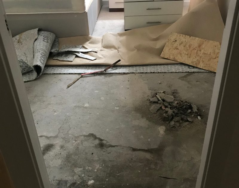 0e66aa4d-17d8-4e11-b12c-54e4358a5ddb