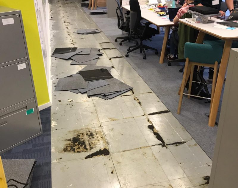 4a3da497-0cd8-445d-840c-c3c20d297d71